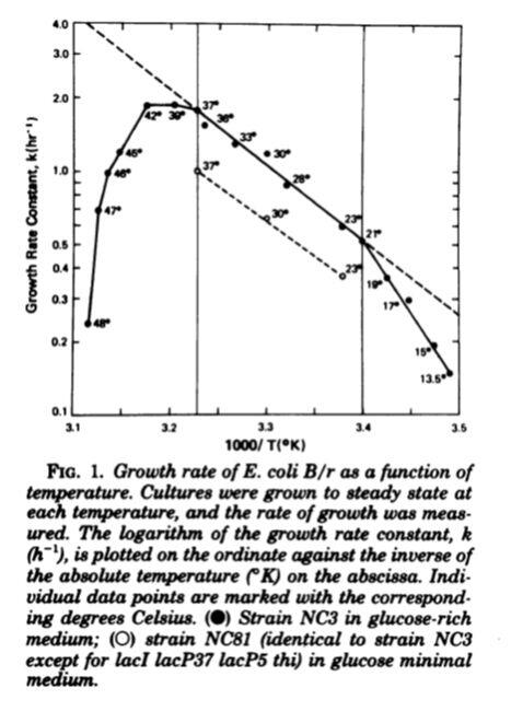Temperature Growth