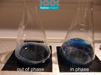 out_of_phase_picture_Hint_Nr_5